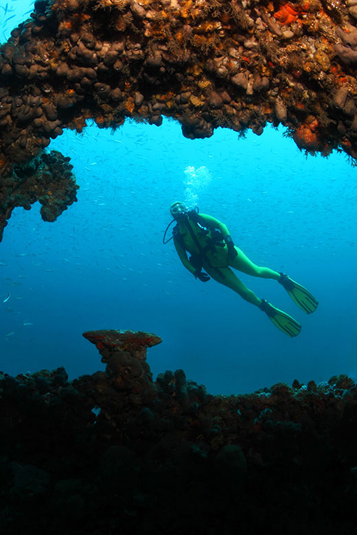 Scuba diver exploring underwater caves and marine life in Dalmatia, Croatia.