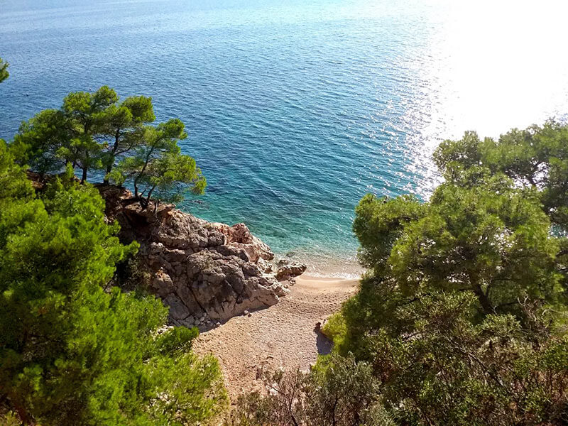 Pitoreskni pogled na uvalu plaže Jagodna s tirkiznim morem i borovima
