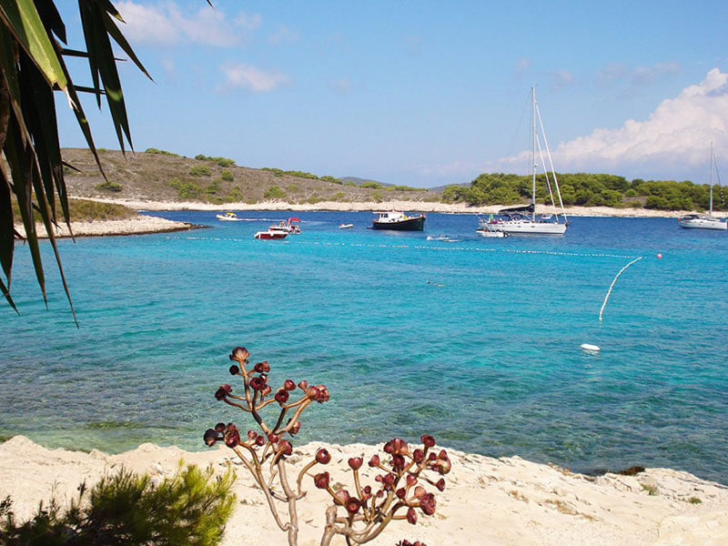 Plitko more i brodovi usidreni blizu plaže Milni