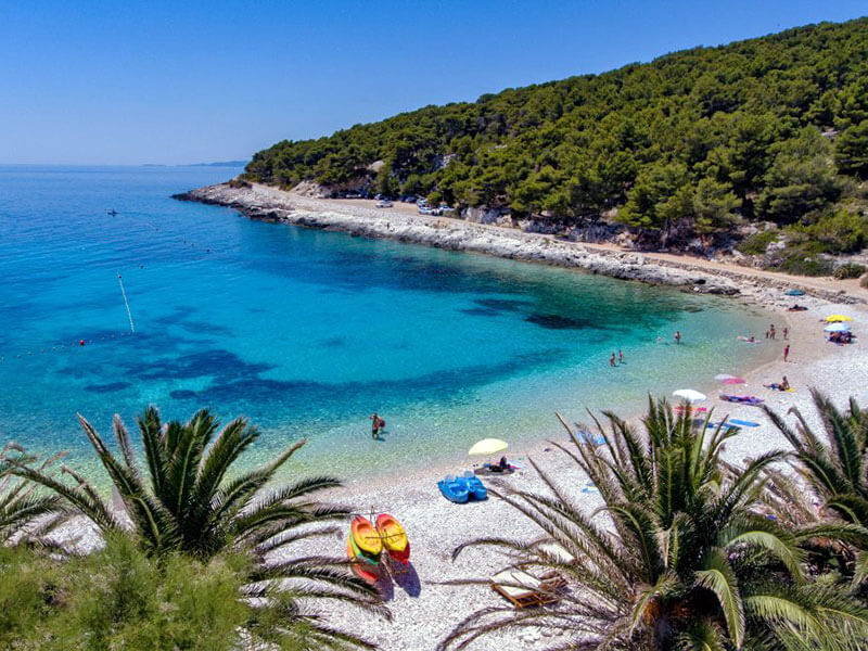 Obala s palmama i suncobranima na plaži Pokonji Dol
