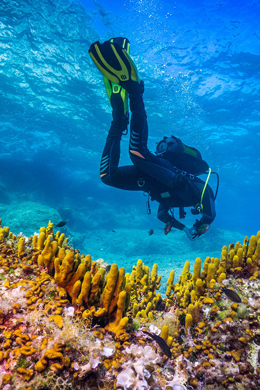 Scuba diver exploring coral reef in clear Adriatic waters