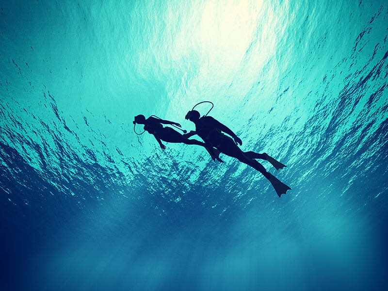Divers above a shipwreck in sunlit water