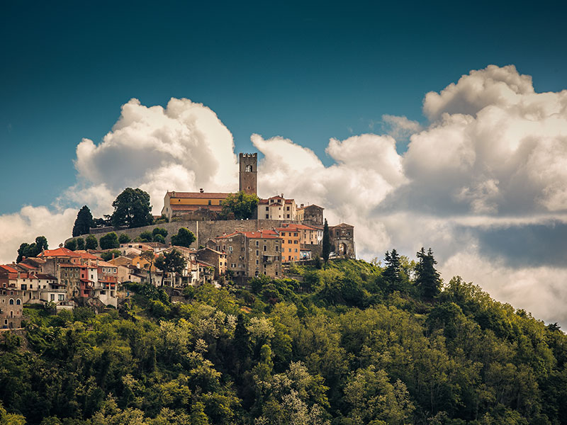 Pogled na Motovun na griču, obdan z vinogradi