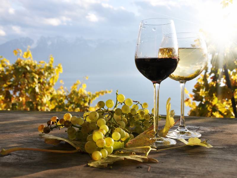 Bicchieri di vino bianco con grappoli d’uva