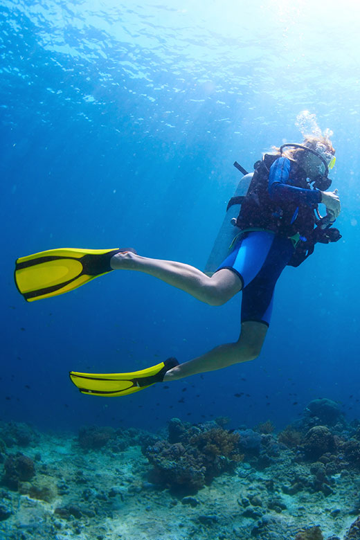 Scuba diver exploring vibrant underwater world in the Adriatic Sea, Kvarner, Croatia.