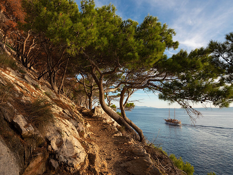 Hiking path through Osejava Forest Park with sea views