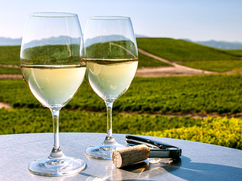 Degustazione all’aperto con vista sui vigneti vicino a Makarska