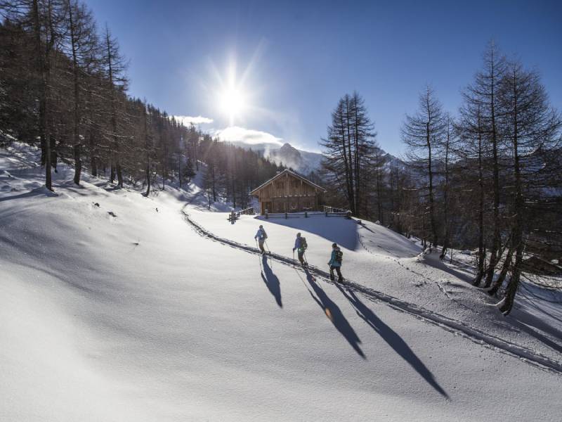 Eine Gruppe Wanderer stapft mit Schneeschuhen durch tiefen Schnee, umgeben von verschneiten Bäumen