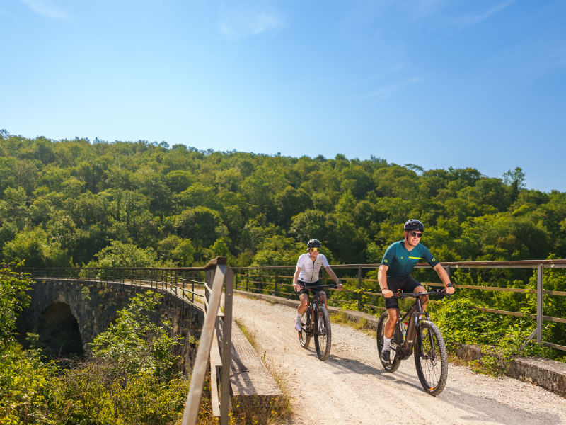 Family cycling together on a sunny path