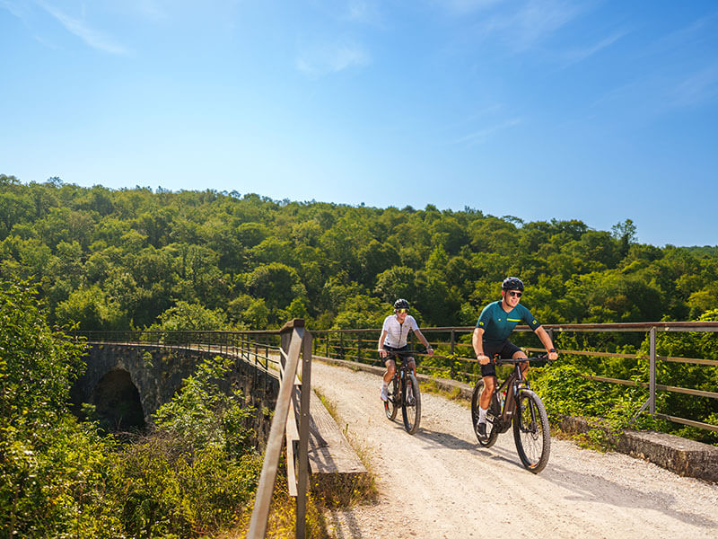Biking across a wooden bridge on a forest trail in Istria