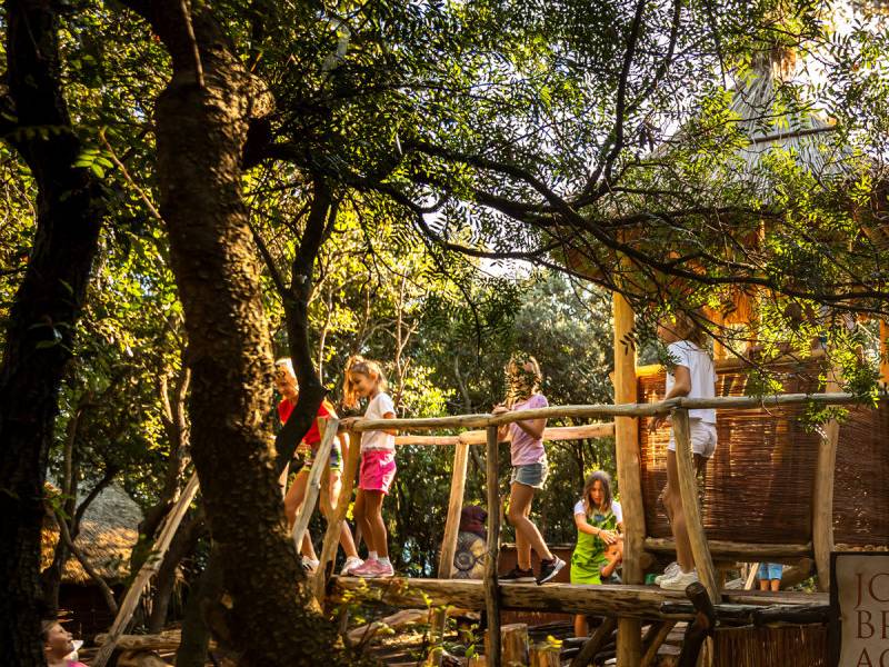 Life-sized dinosaur display at Dinopark Funtana surrounded by trees