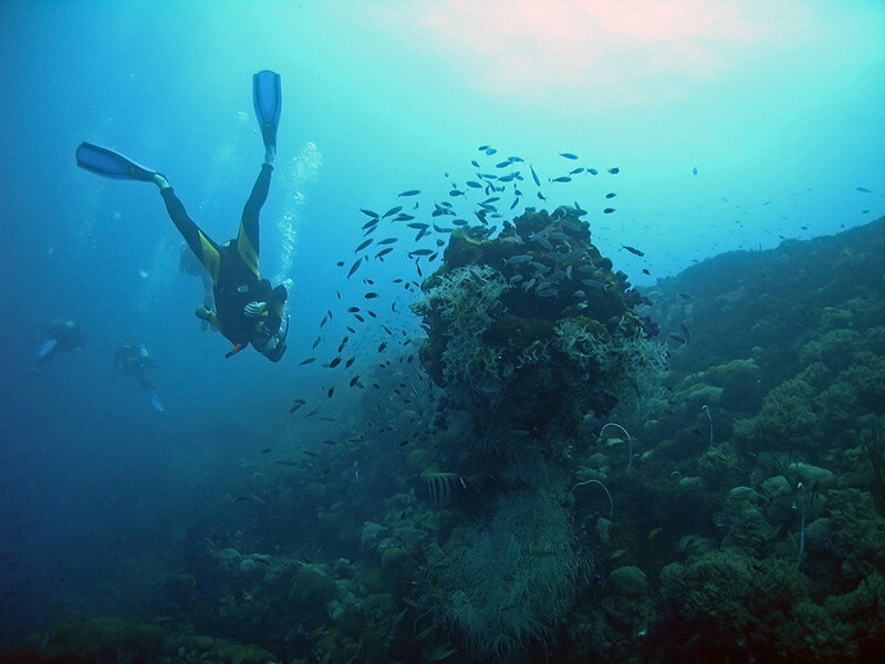 Scuba diver near seabed at Gobo Shoals, popular diving spot