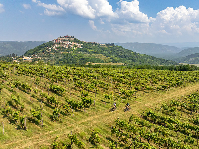 Parenzana Trail winding through vineyards with hilltop views