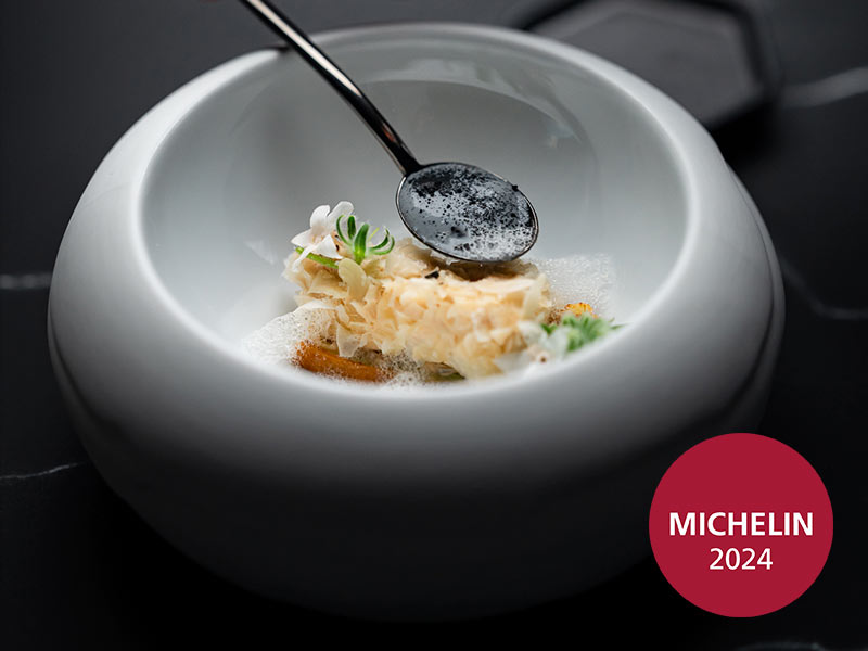 Elegant plating of fine dining cuisine