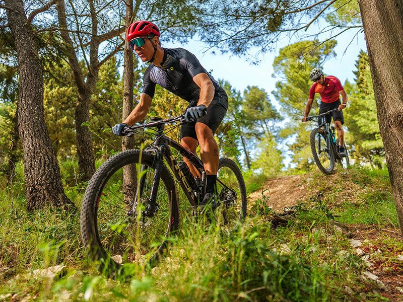 Exploring the Baredine trail by bike through scenic forest landscapes