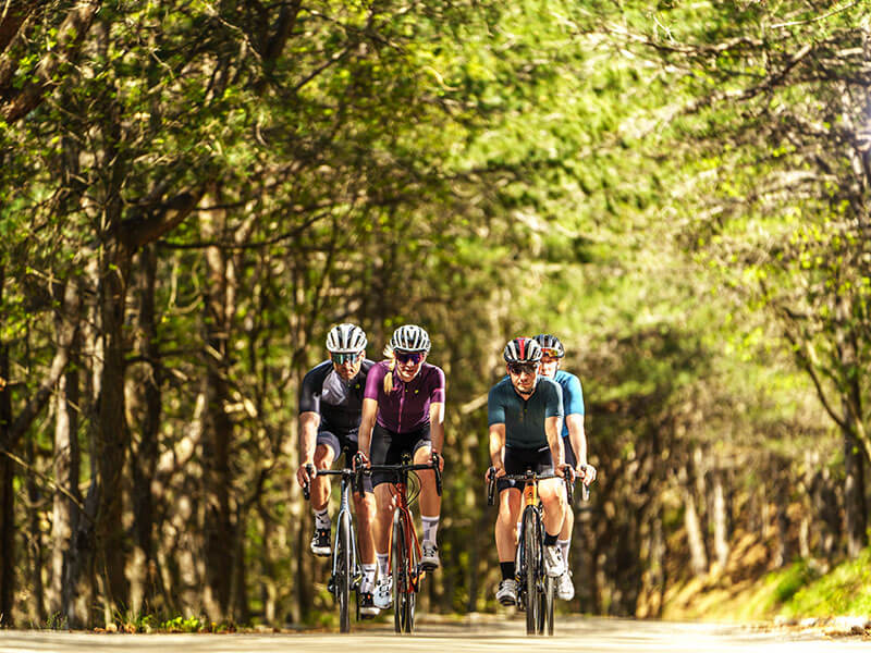 Cyclists riding through a sunlit forest on the Vižinada trail