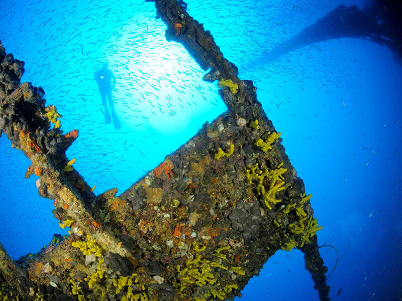 Diver exploring a coral-covered shipwreck in clear blue waters