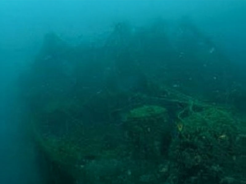 Submerged relic of a shipwreck covered in algae and marine life
