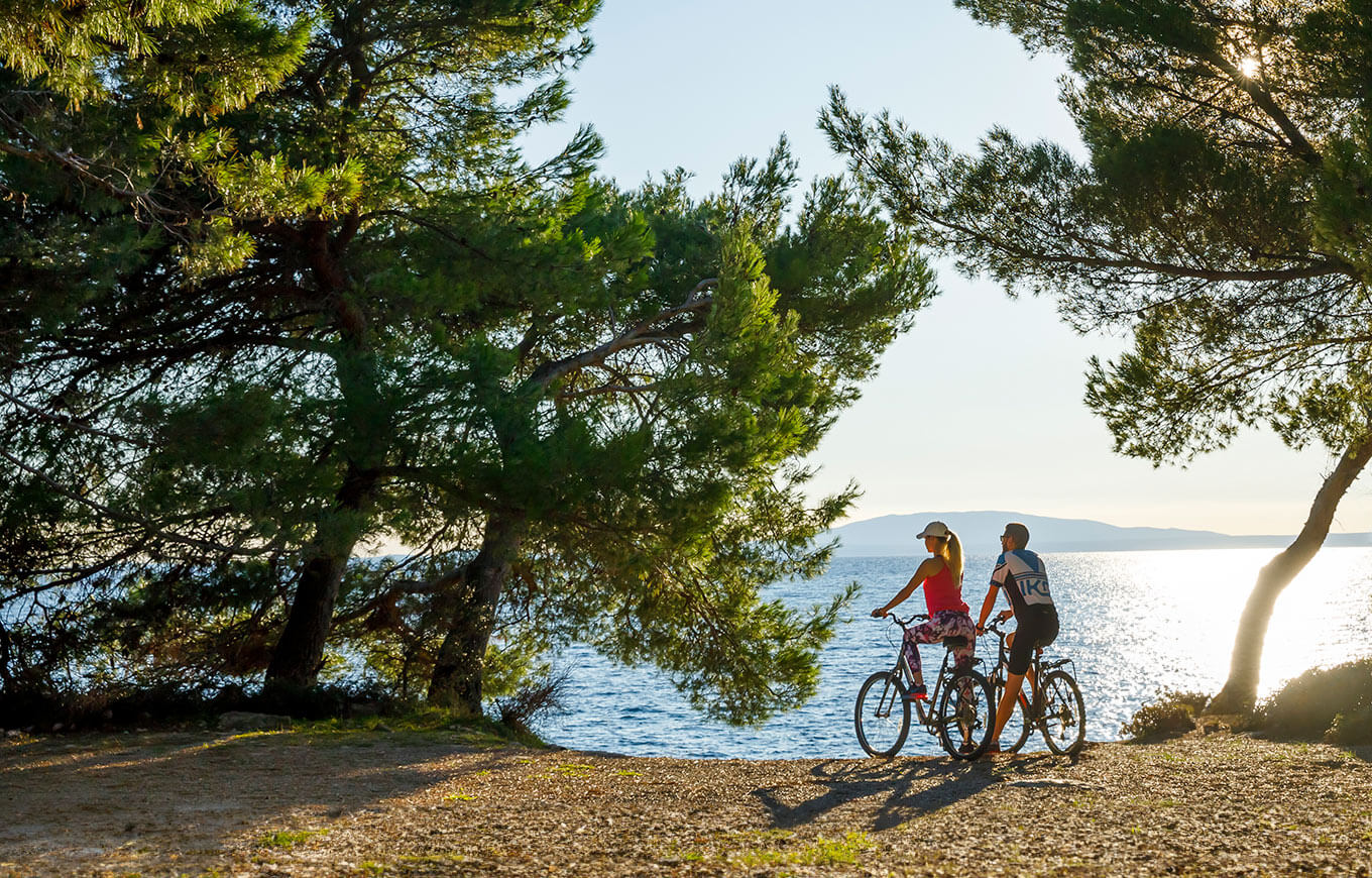 Des cyclistes roulent le long du sentier côtier sur l’île de Rab