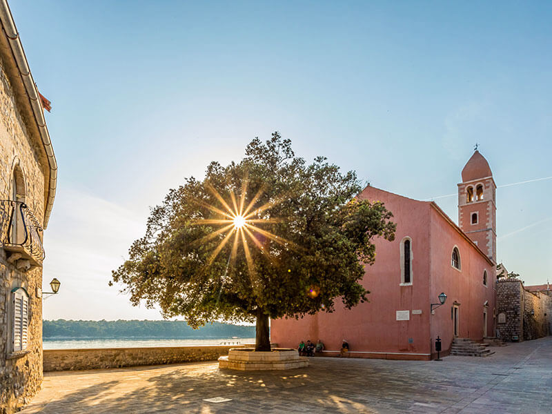 Sunlight shining through tree near Church of St Justine in Rab
