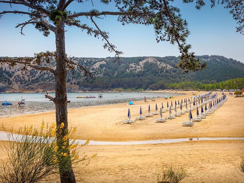 Sandstrand Paradise Beach mit Pinien und Sonnenbadenden auf der Halbinsel Lopar, Insel Rab