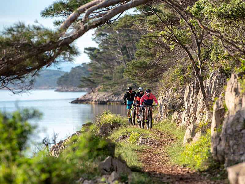 Przejazd rowerowy przez gęsty las po trasie off-road na wyspie Rab