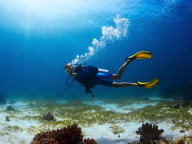 Taucher schwimmt in der Nähe eines Riffs mit Unterwasserpflanzen