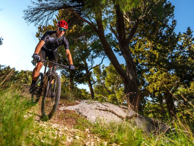 Rowerzysta manewruje po skalistej ścieżce przez gęsty las