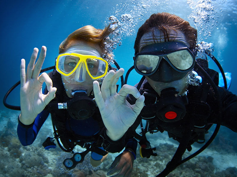 Zwei Taucher schwimmen nahe bei Korallenformationen und Meereslebewesen