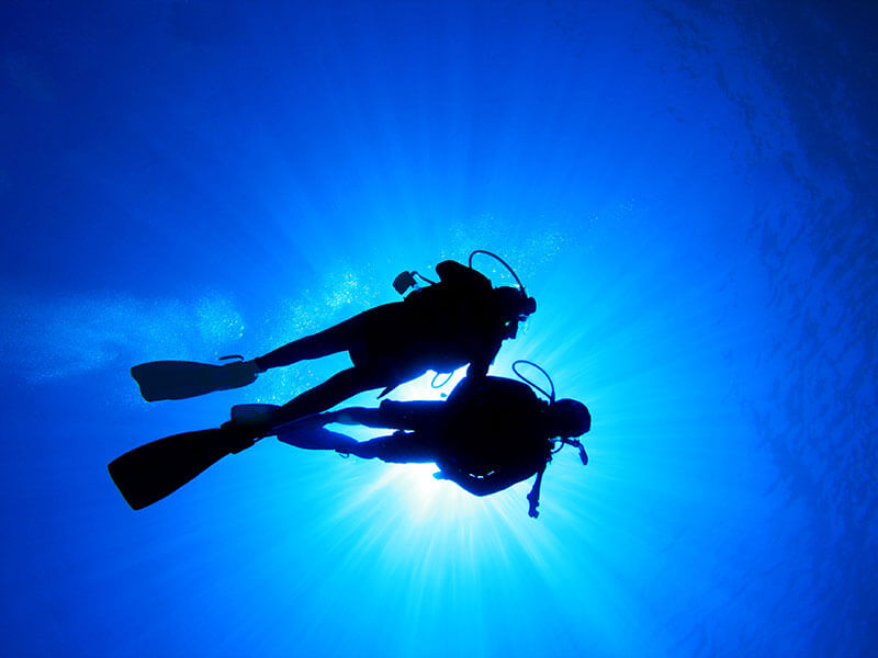 Silhouetten von Tauchern beim Schwimmen