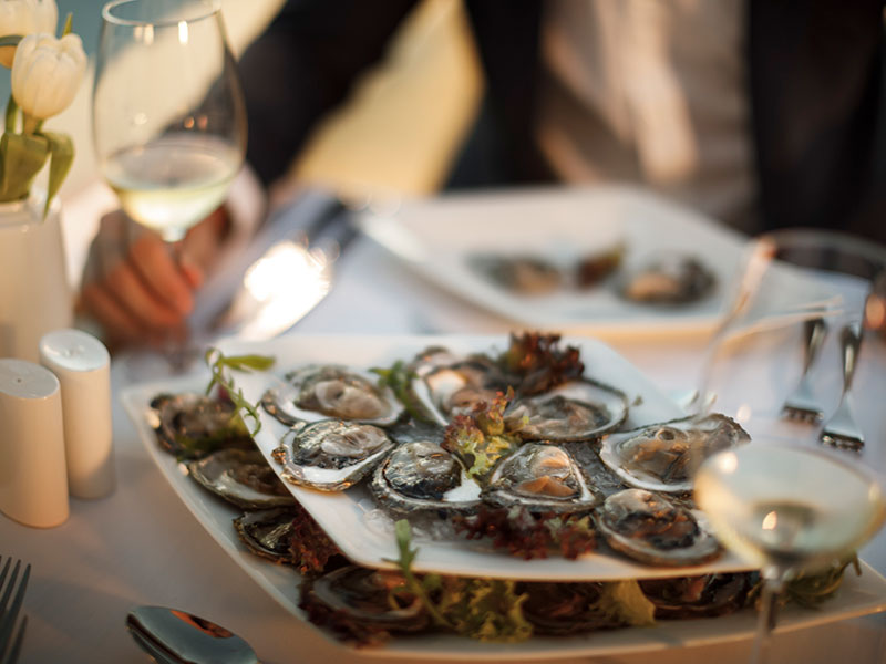 Oysters on a plate