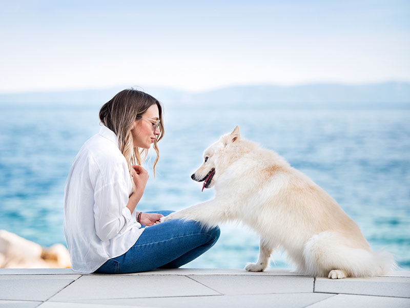 Cane bianco che porge la zampa a una donna vicino a una spiaggia croata dog-friendly.