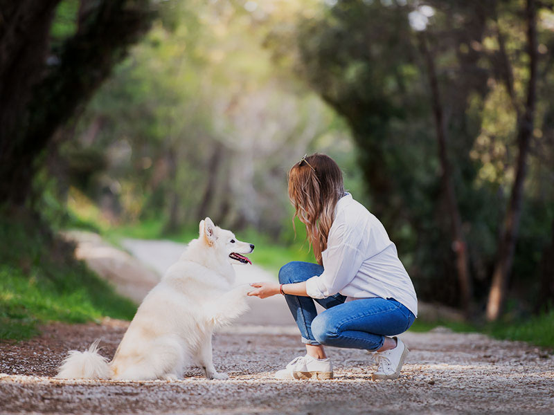 Woman interacting with a white dog on a scenic forest path