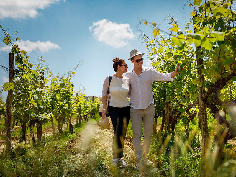 Paar spaziert durch einen Weinberg.