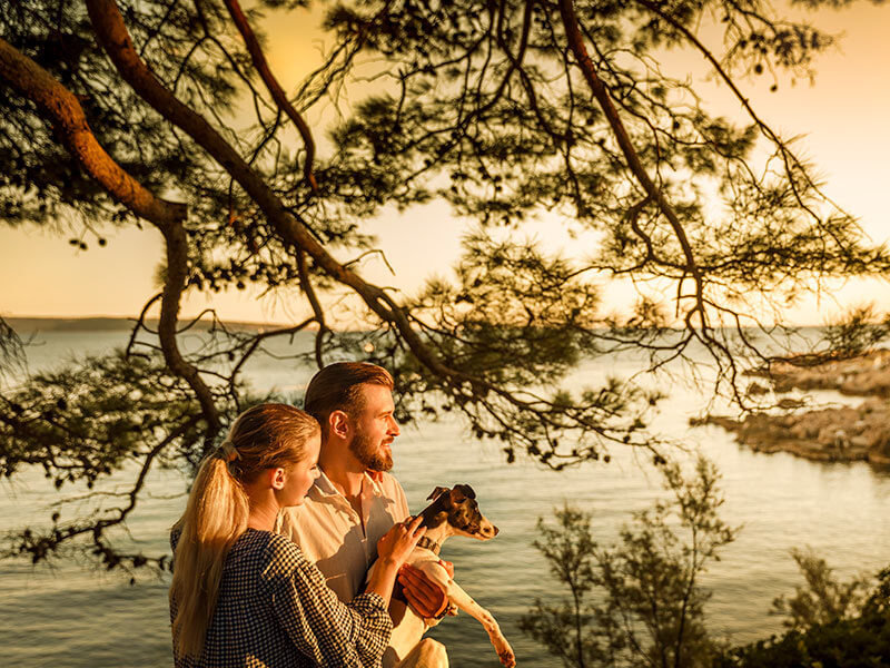 Pies i koktajl na plaży